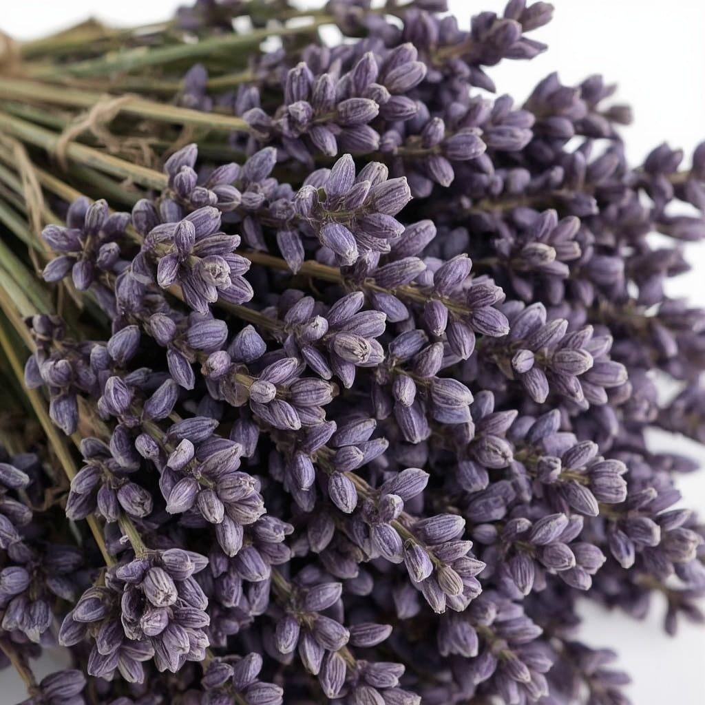 Lavender Field Dried Flower Bouquet – 100% French Lavender, 200 Stems, 45 cm