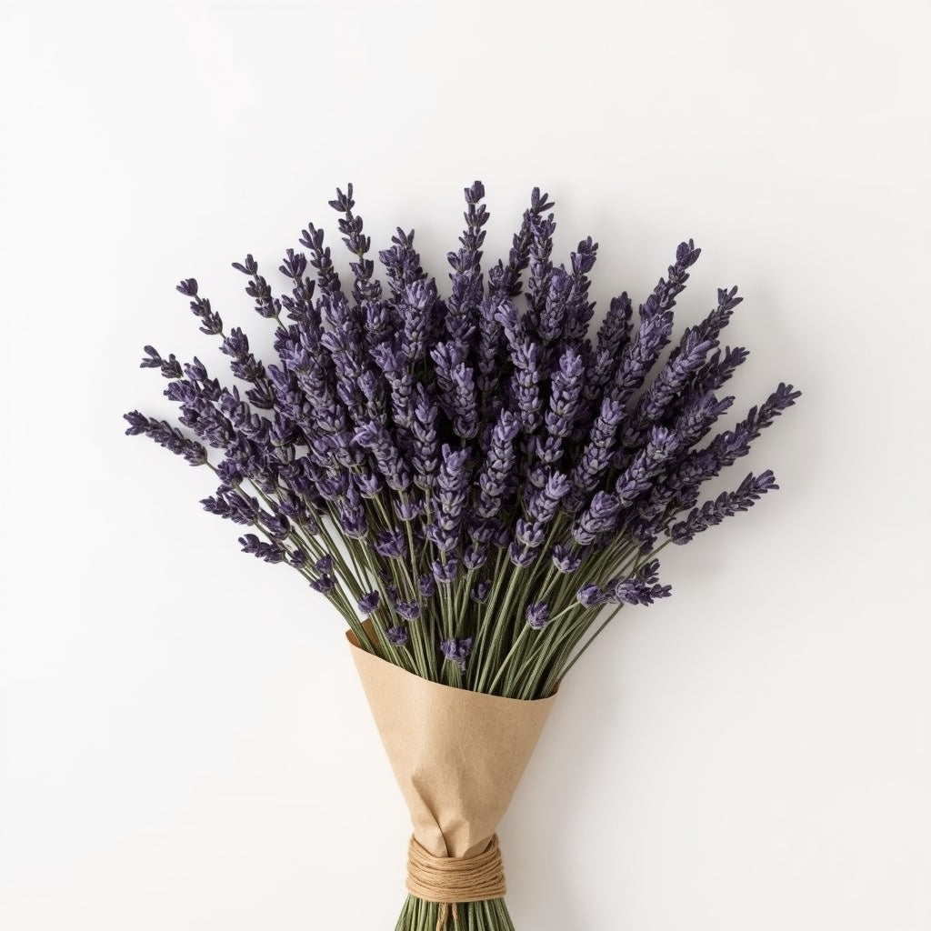 Lavender Field Dried Flower Bouquet – 100% French Lavender, 200 Stems, 45 cm