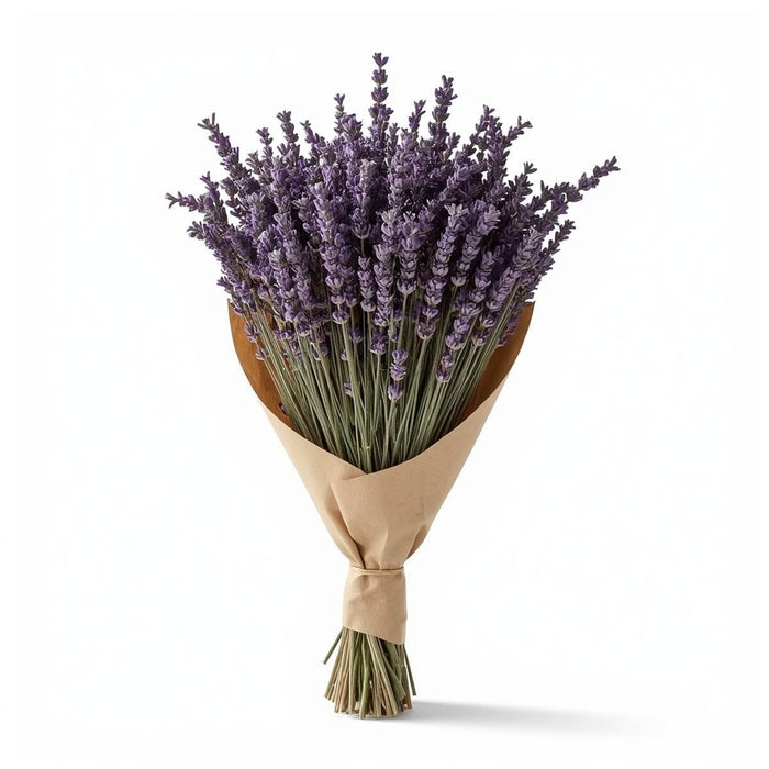 Lavender Field Dried Flower Bouquet – 100% French Lavender, 200 Stems, 45 cm